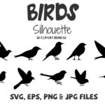 bird silhouette icon